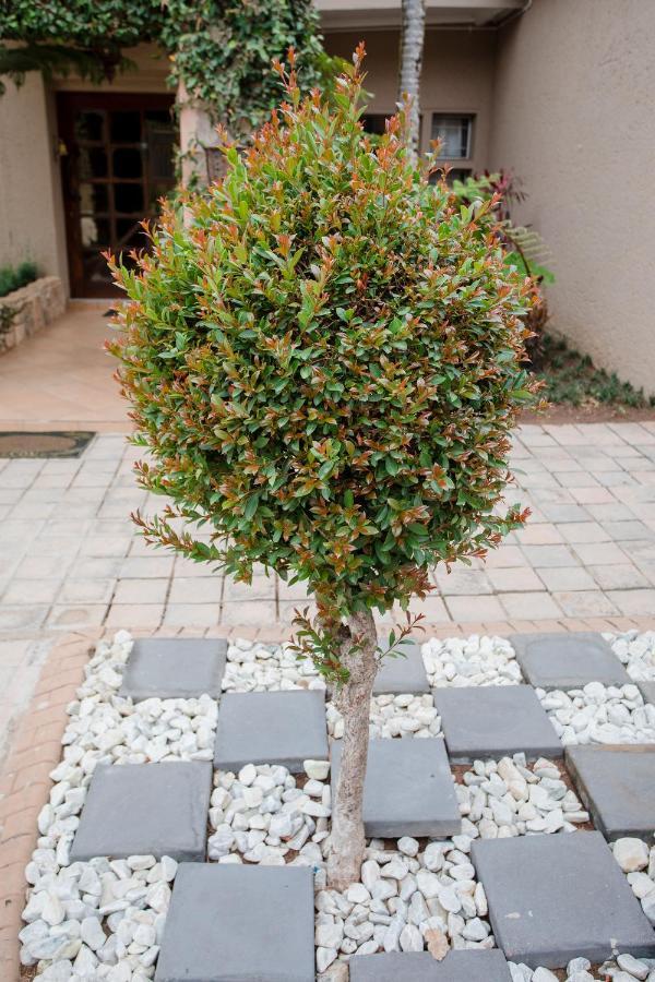 4 Gazelle Guesthouse Mbombela Kültér fotó